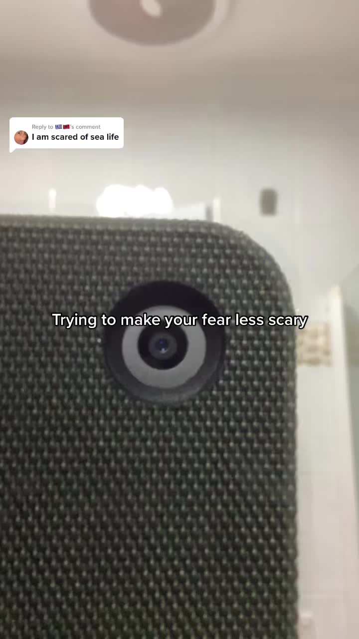 @♛ 𝗣𝗵𝗼𝗯𝗶𝗮𝘀