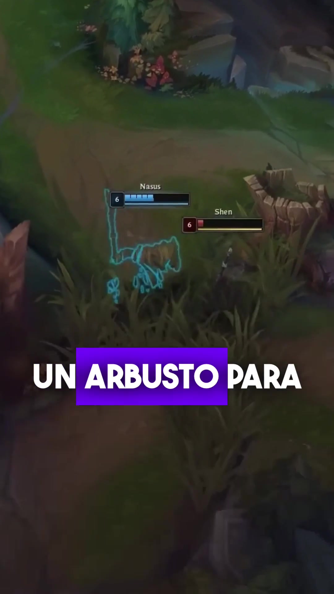 @Entrenador Profesional De LoL
