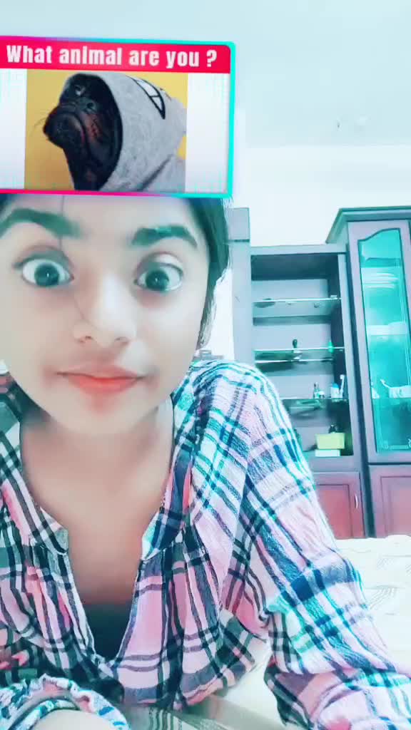 @samreen dinil