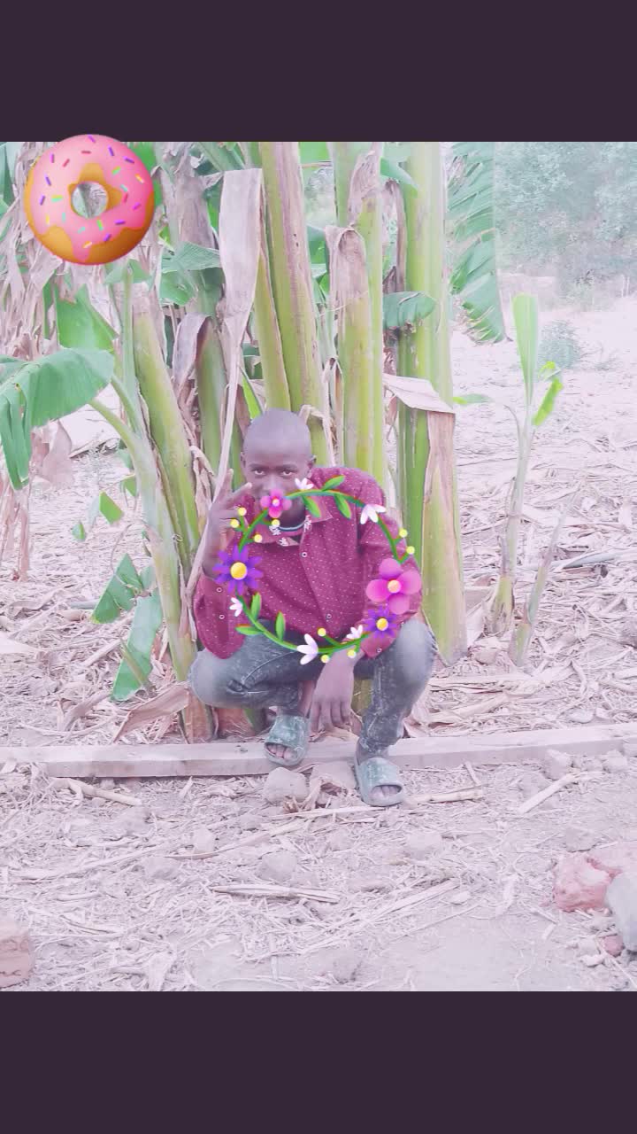 @mr malogo