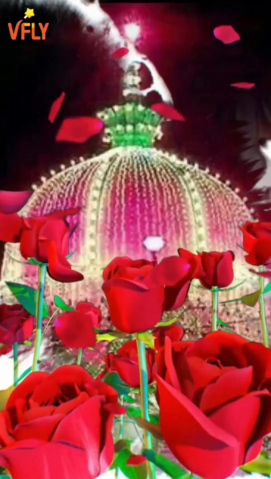 @user2951604446781