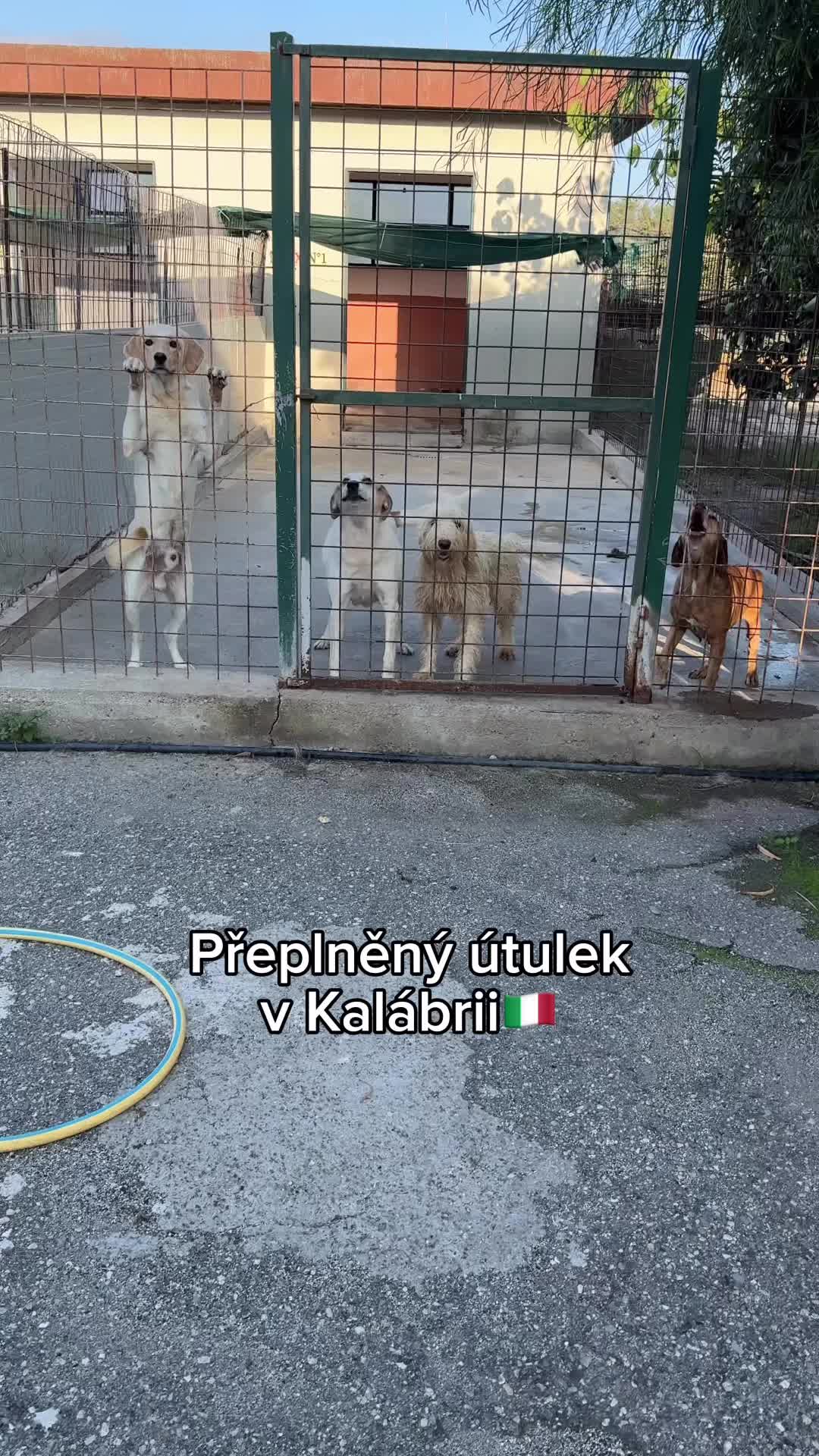 @Zlomatka v It&aacute;lii🇮🇹