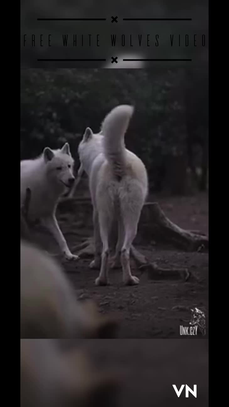 @๐ต๐๐๐ ๐ ๐๐๐ ๐๐๐๐๐๐