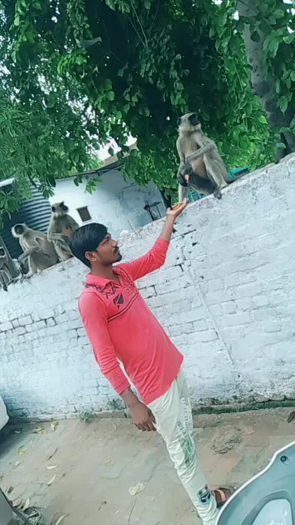 @Rajput Deviram