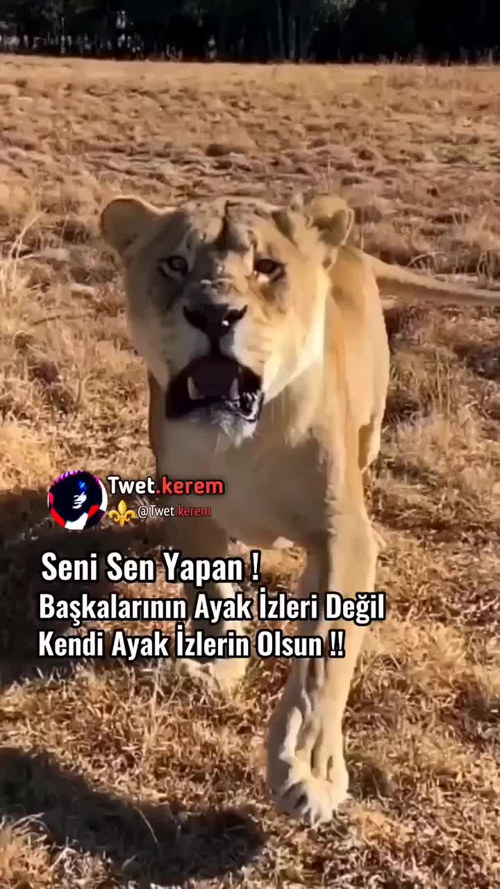 @๐บTURGAYZERDA๐บ