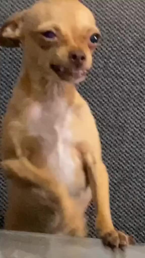 @Luis