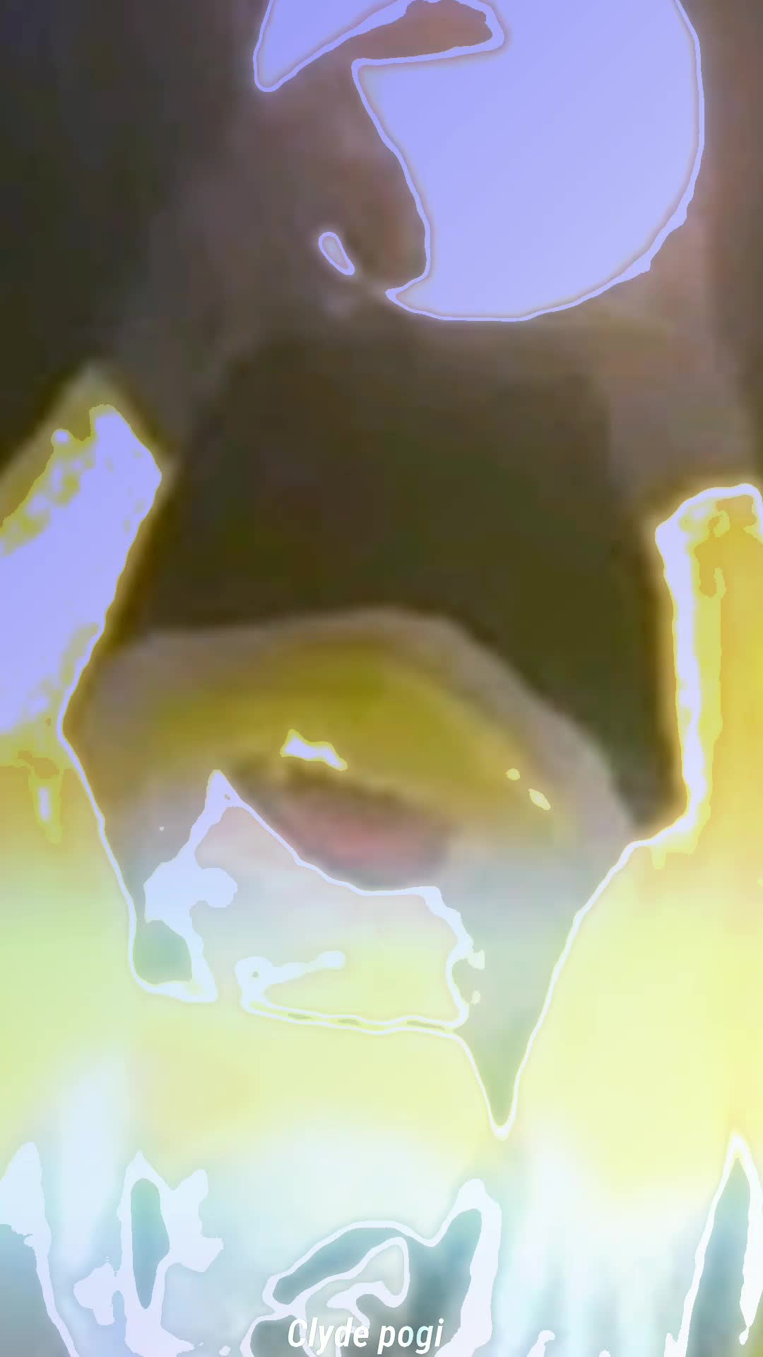 @CLYDE|PRESET🍭🎟️