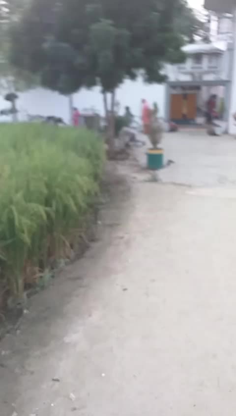 @pandat_1275_