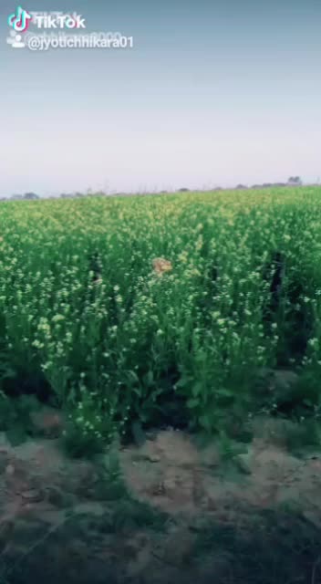 @Jchhikara