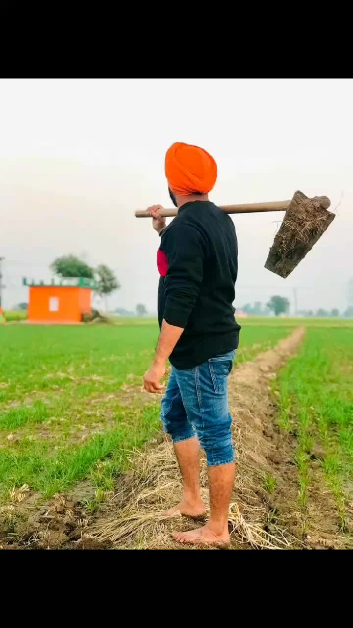 @gursifat21