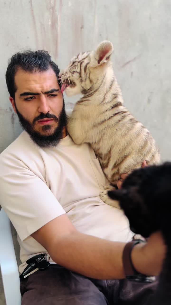 @مؤيد التركي 🐅🐆