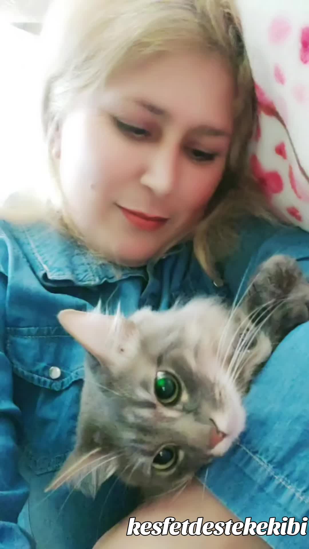 @dumanbey🐈⬛pamukhanım🐈