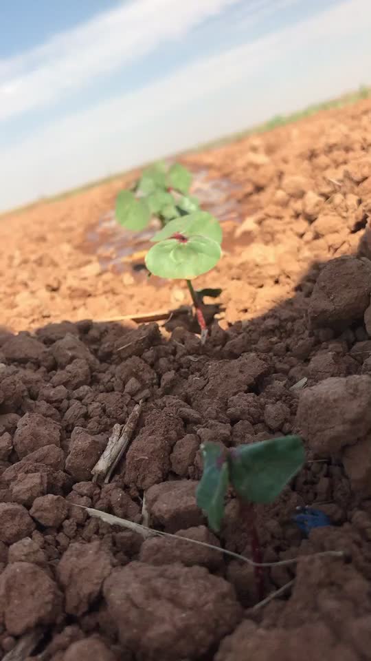 @Reşat Yeşildağ