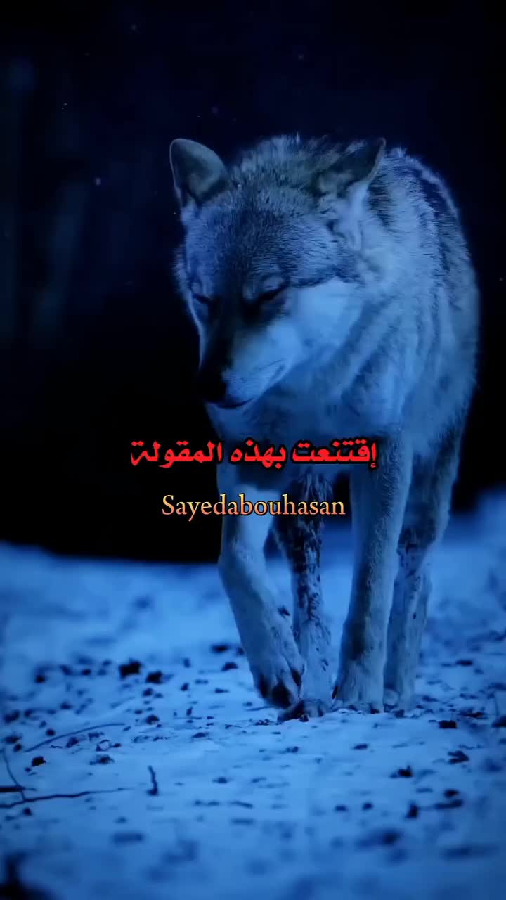 @Sanad Aldhaibani