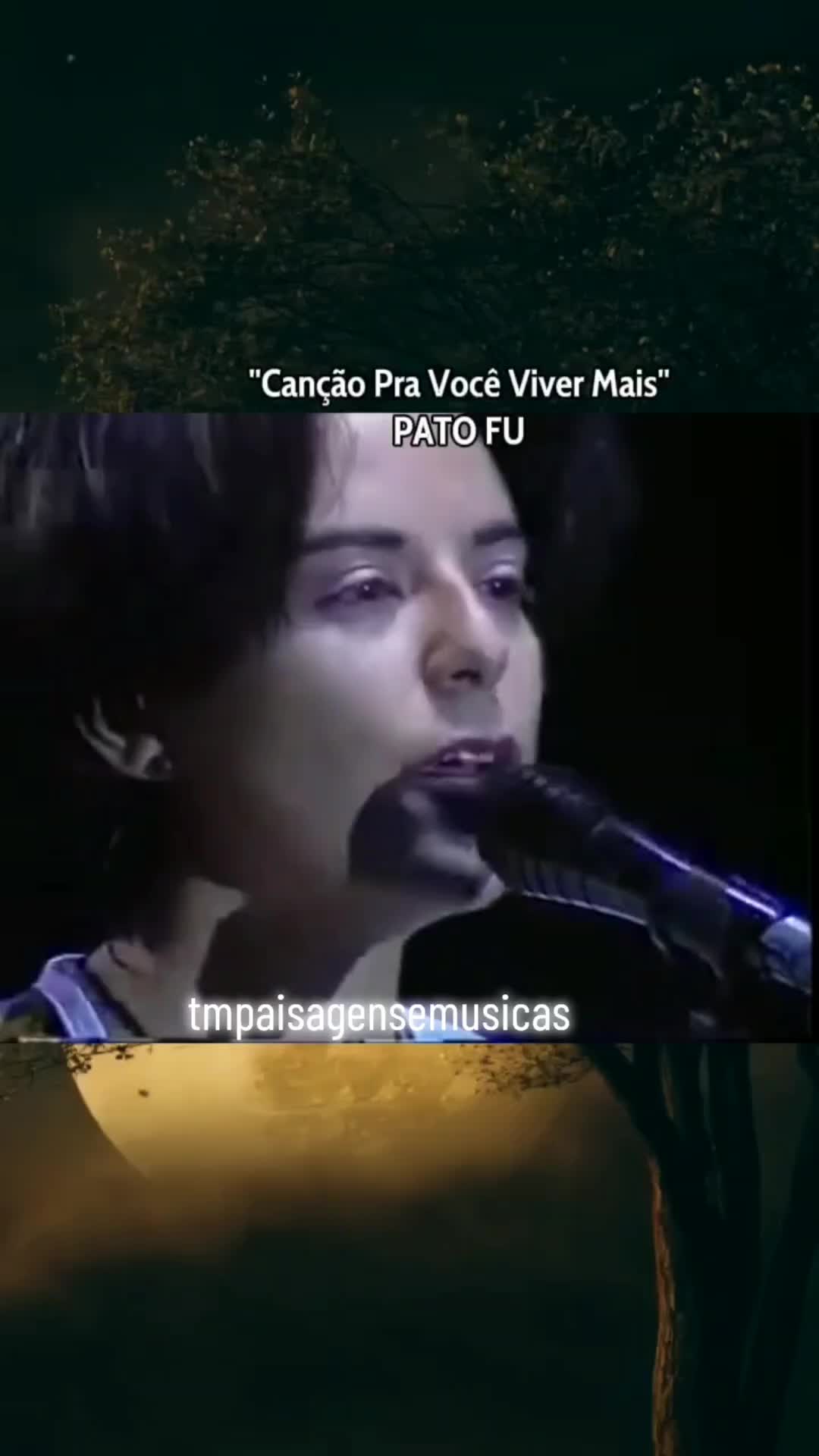 @TM Paisagens e Músicas