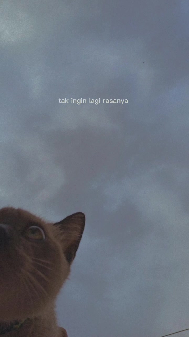@wahyu