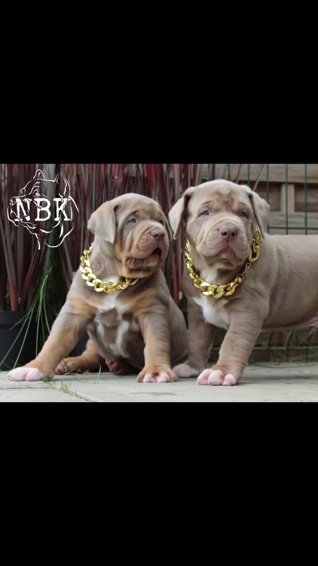 @NBK