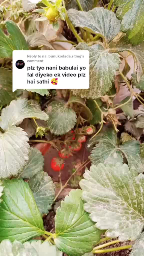 @Sujata Chauhan