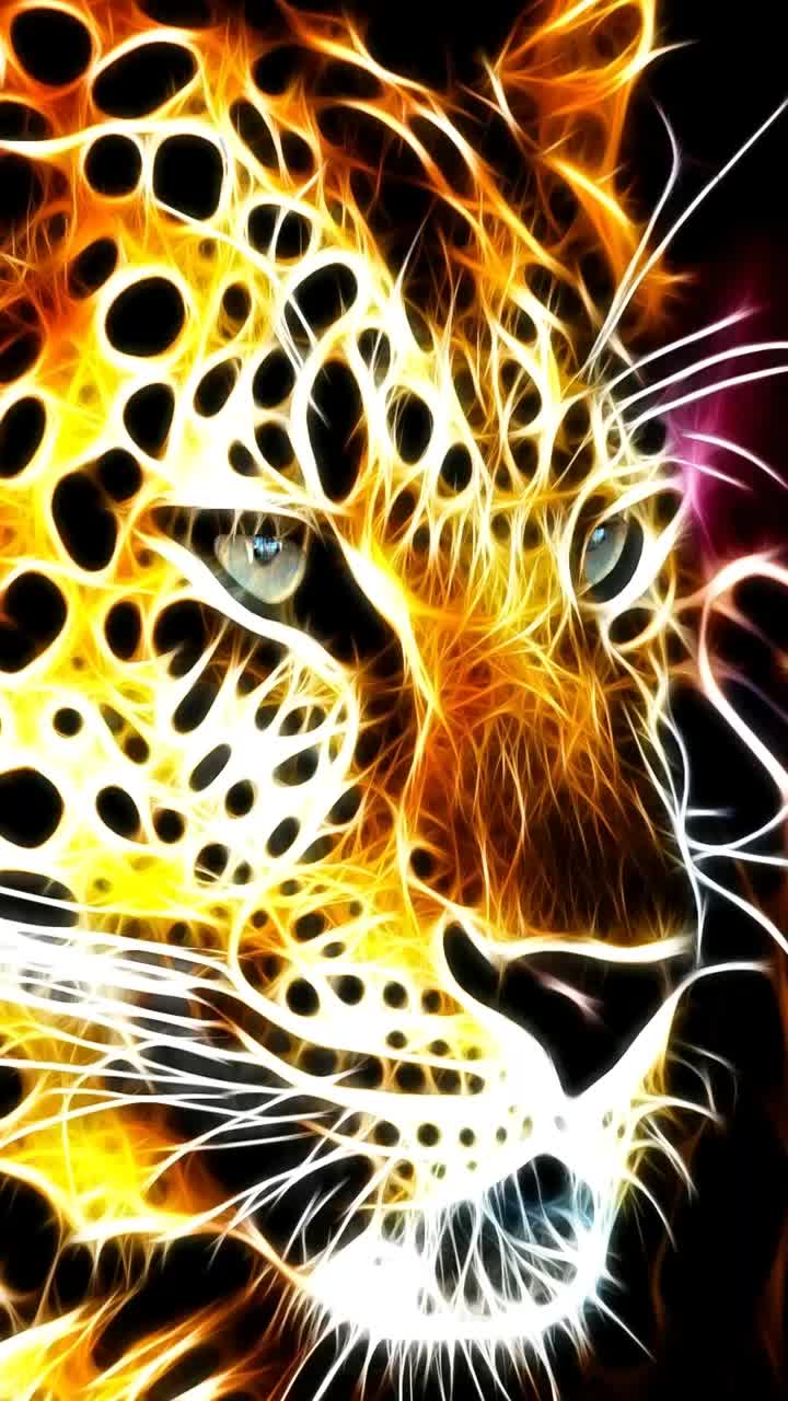 @user4070396009381