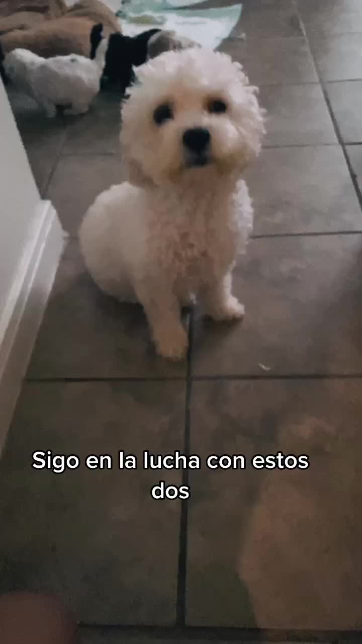 @Jessica Gómez