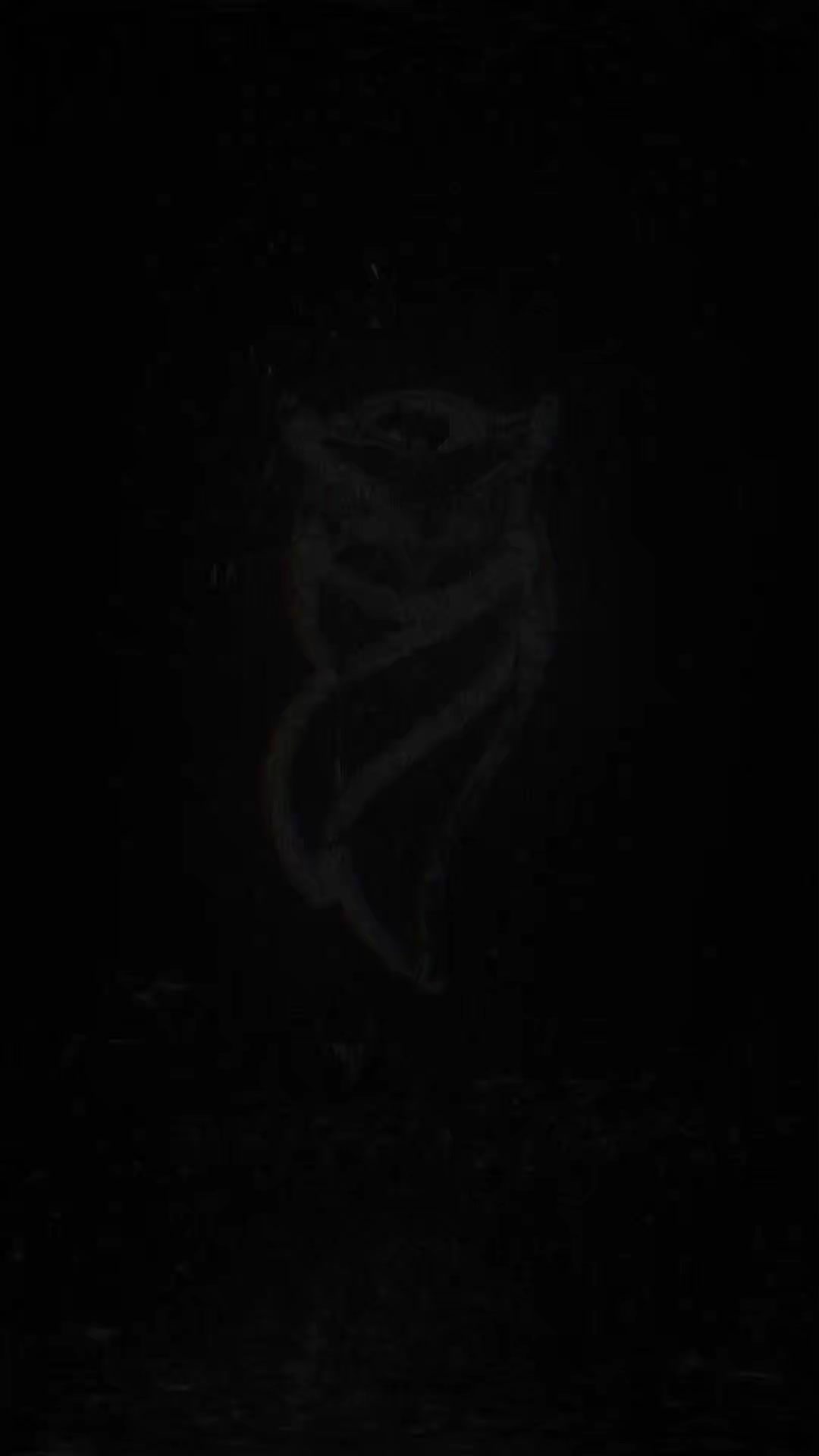 @Salazar 🦉