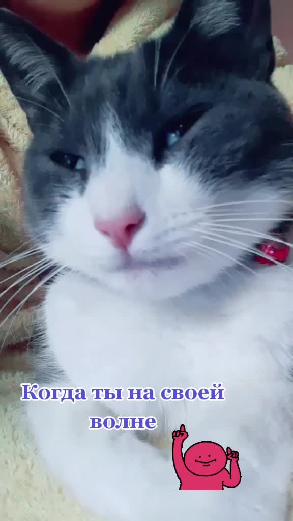@valeriya