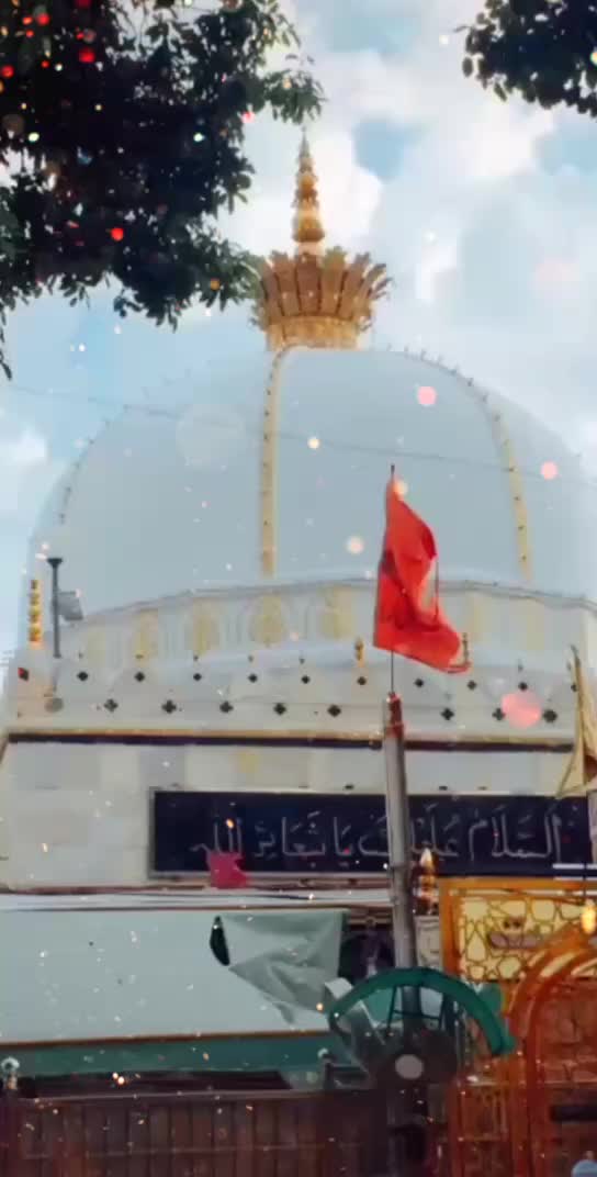 @ریان علی