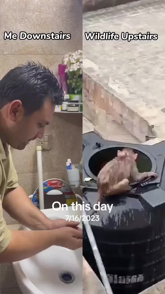 @ahsan813