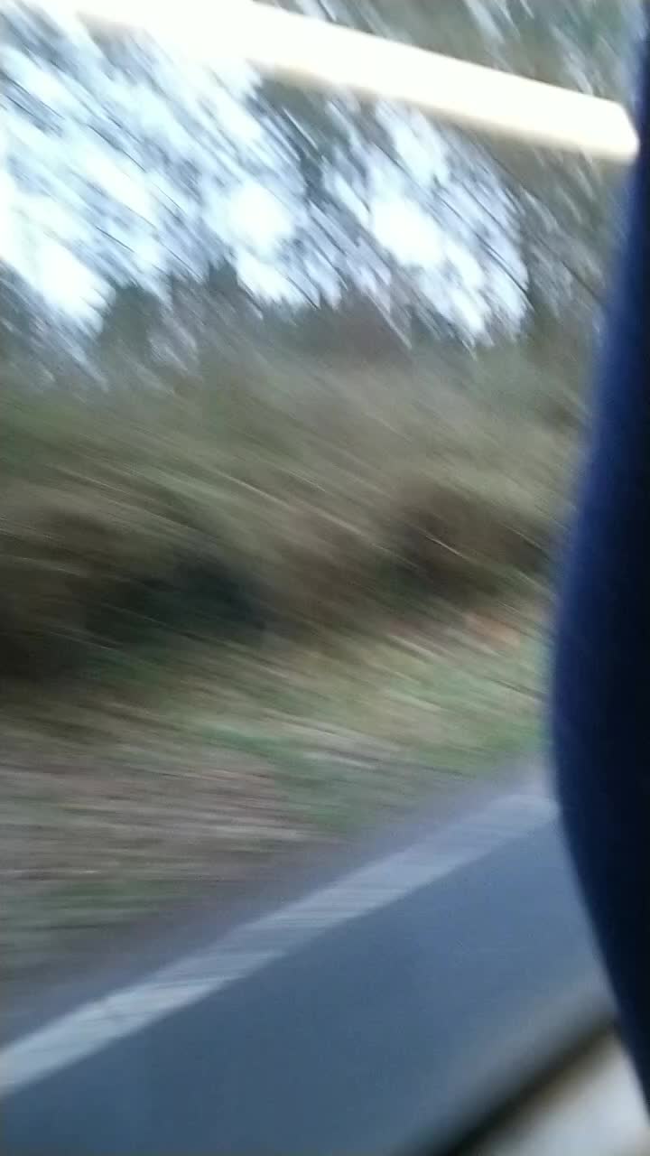@lucaking1312
