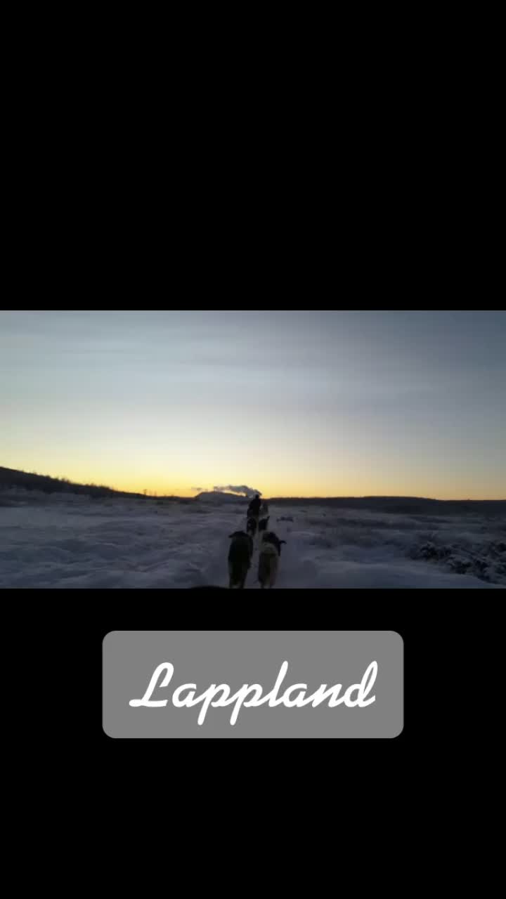 @harz