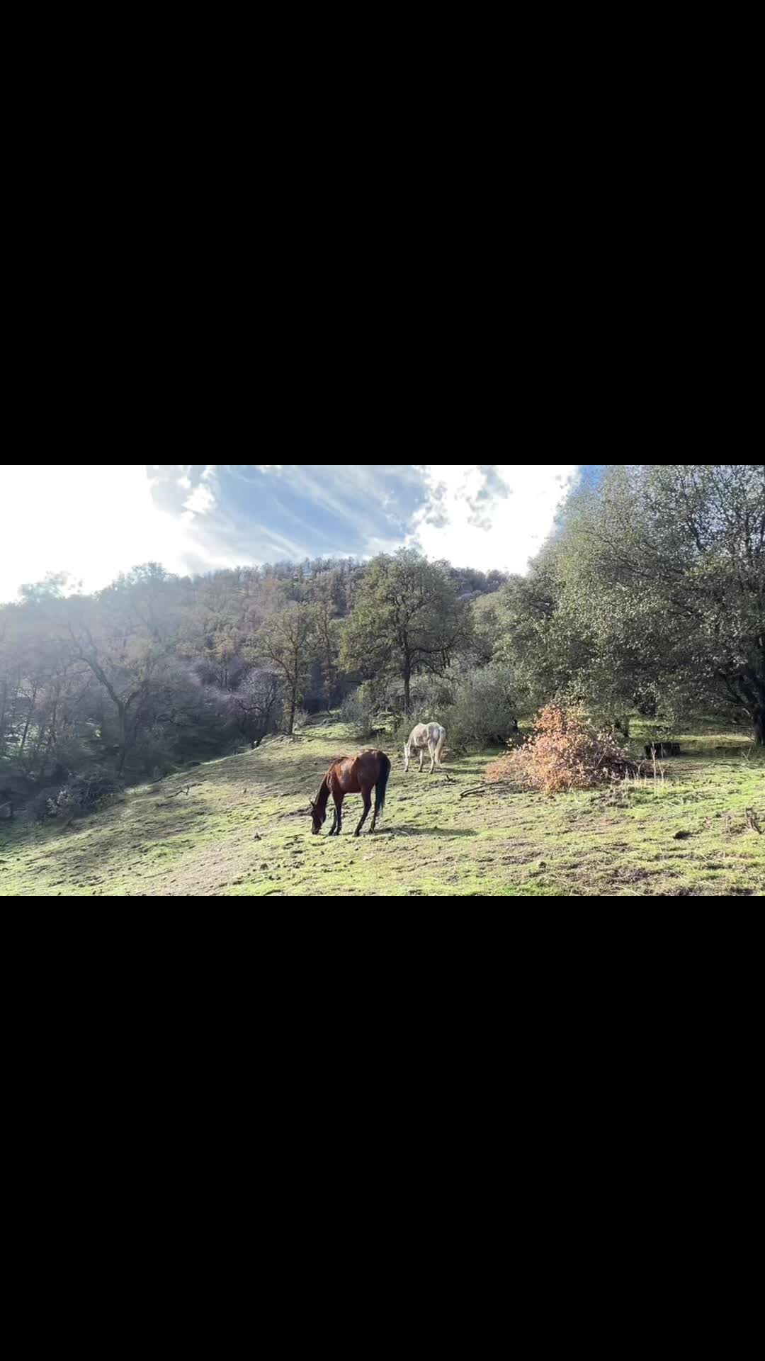 @G7 GuyOnTheRanch
