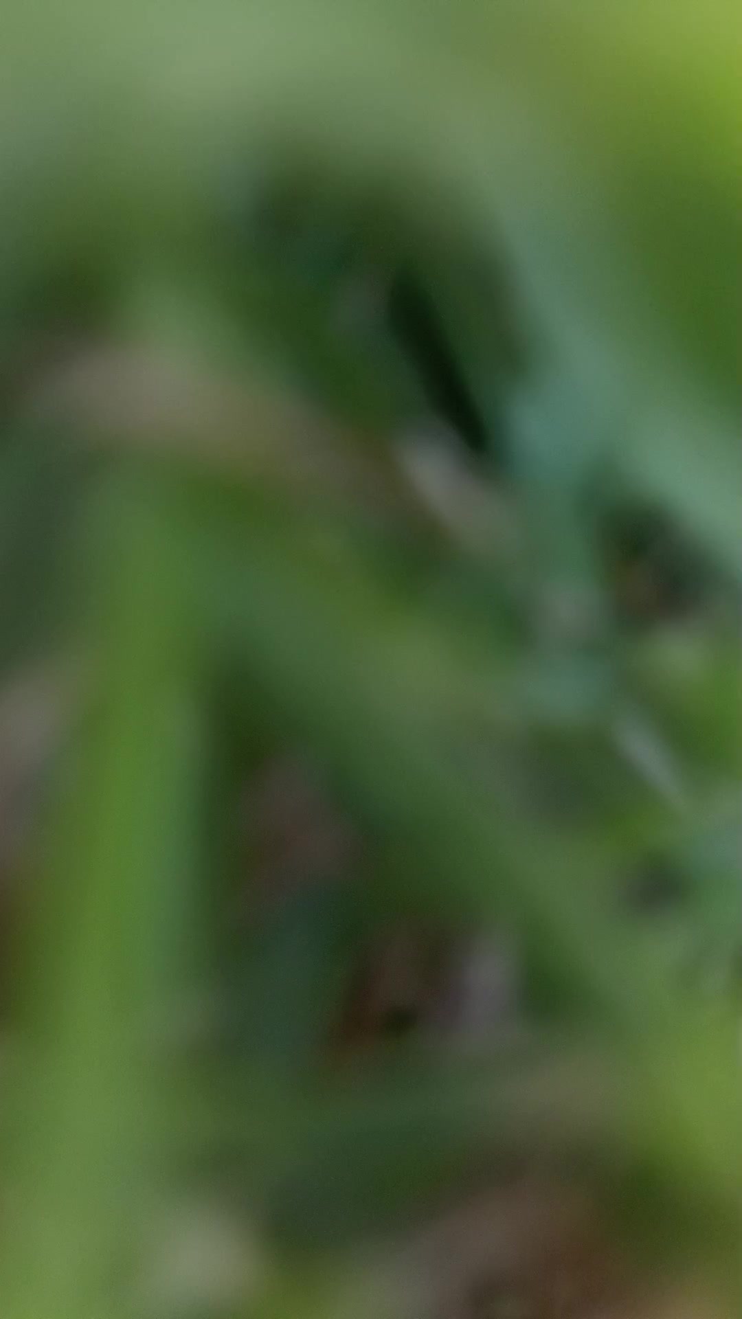 @๐ ุฃู
ูุฑุฉ ุฃุญูุงู
ู ๐