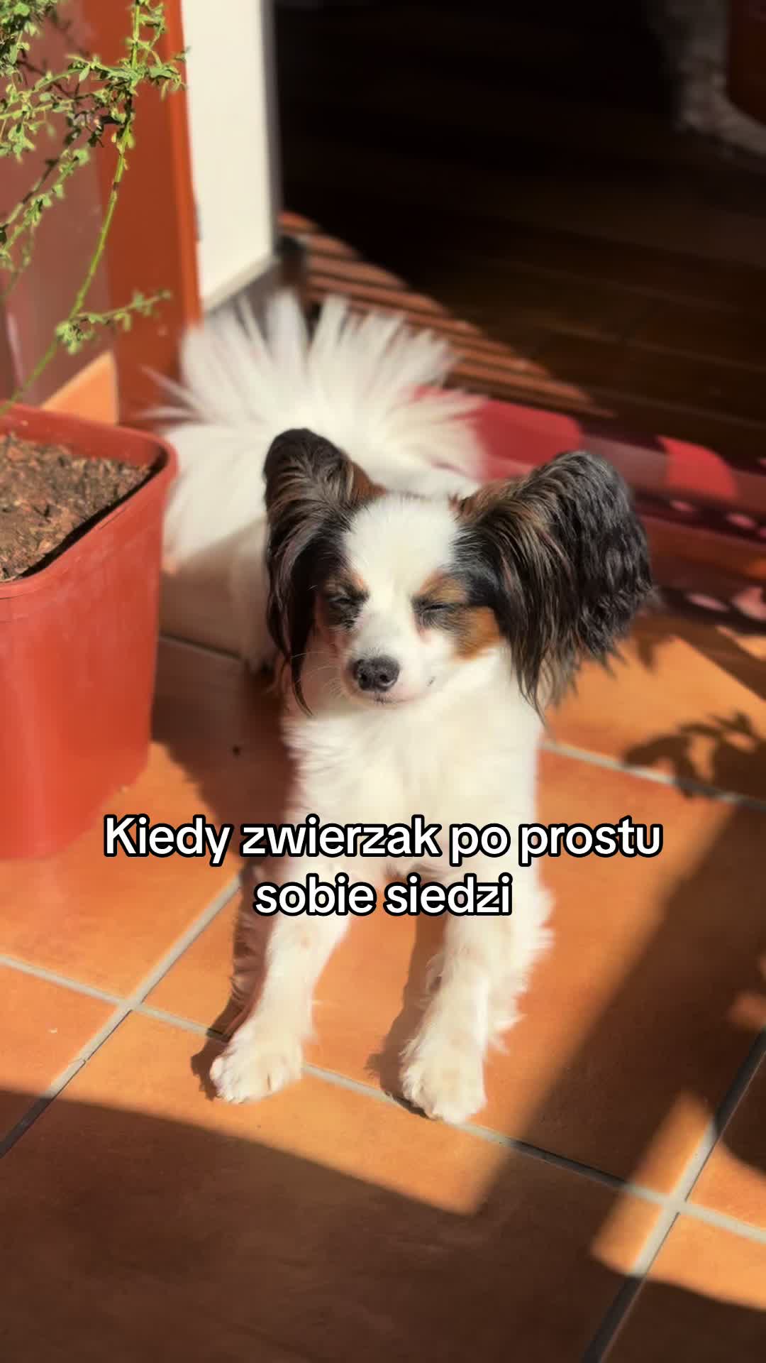 @Martyś 🥳