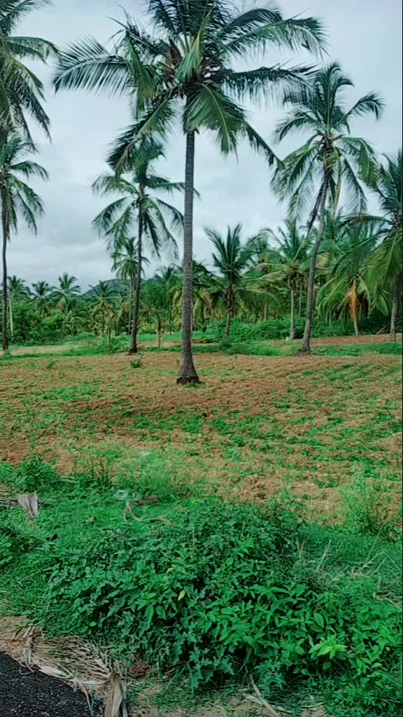 @user786 s,kuz me