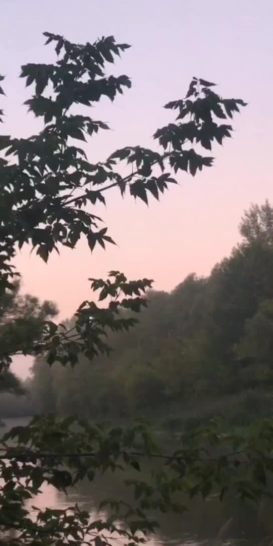@Элеонора