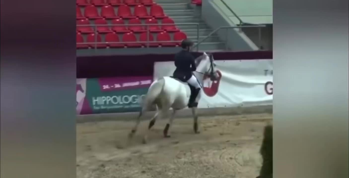 @Horses