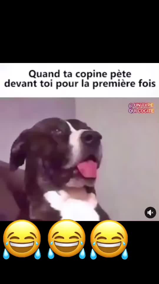 @Dr&ocirc;le de b&ecirc;te 😜