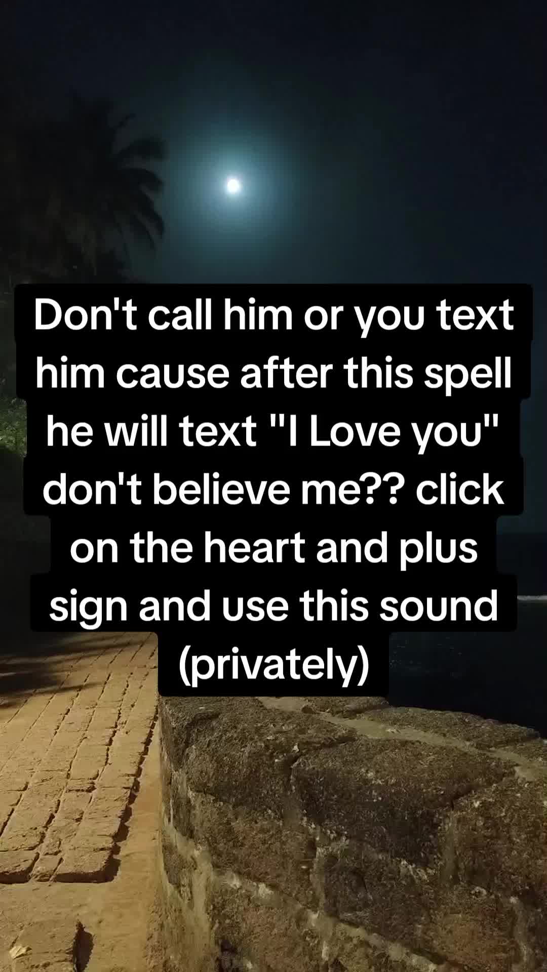 @wisdom whispers
