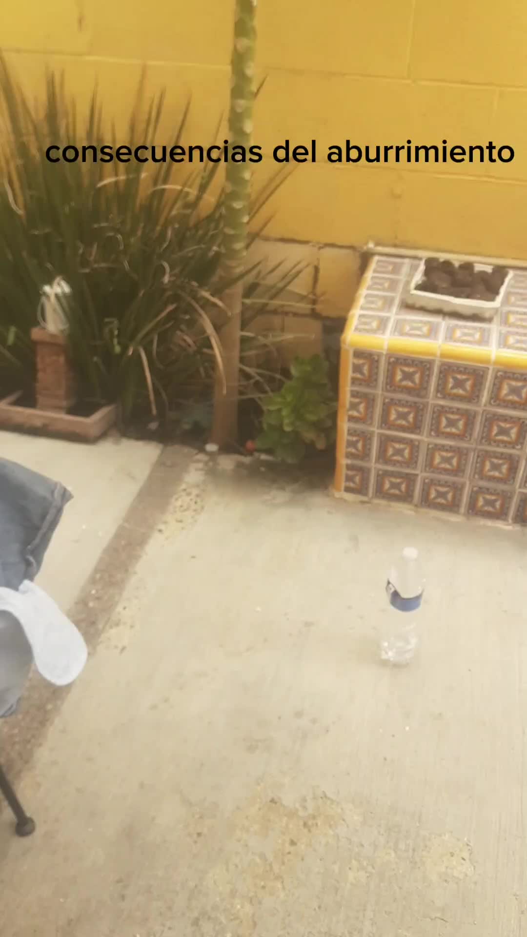 @[<&iexcl;X!>]