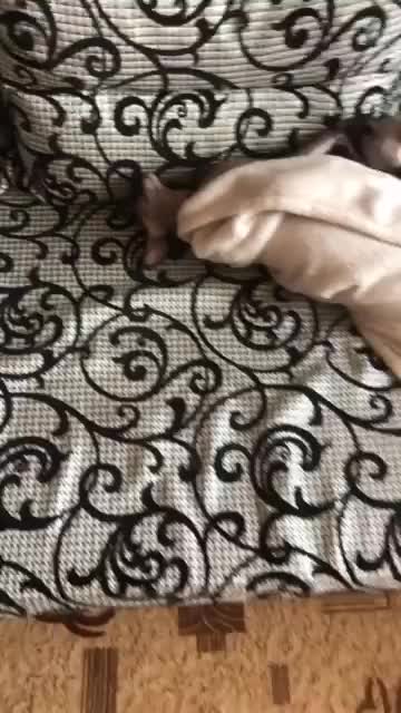 @AntonFrostandBussya