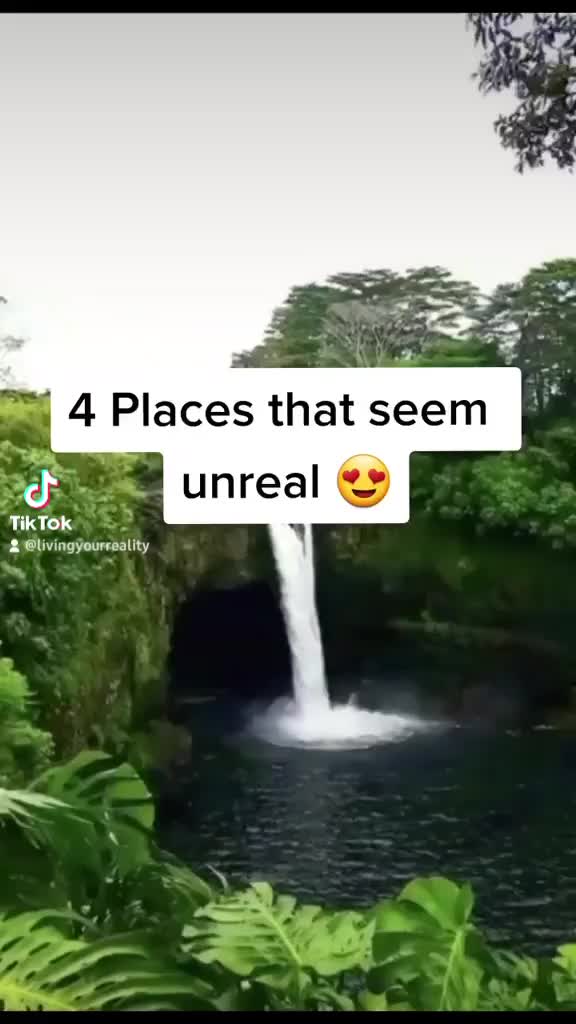 @livingyourreality