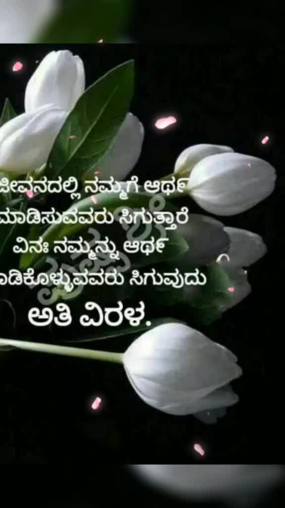 @Dimpana K