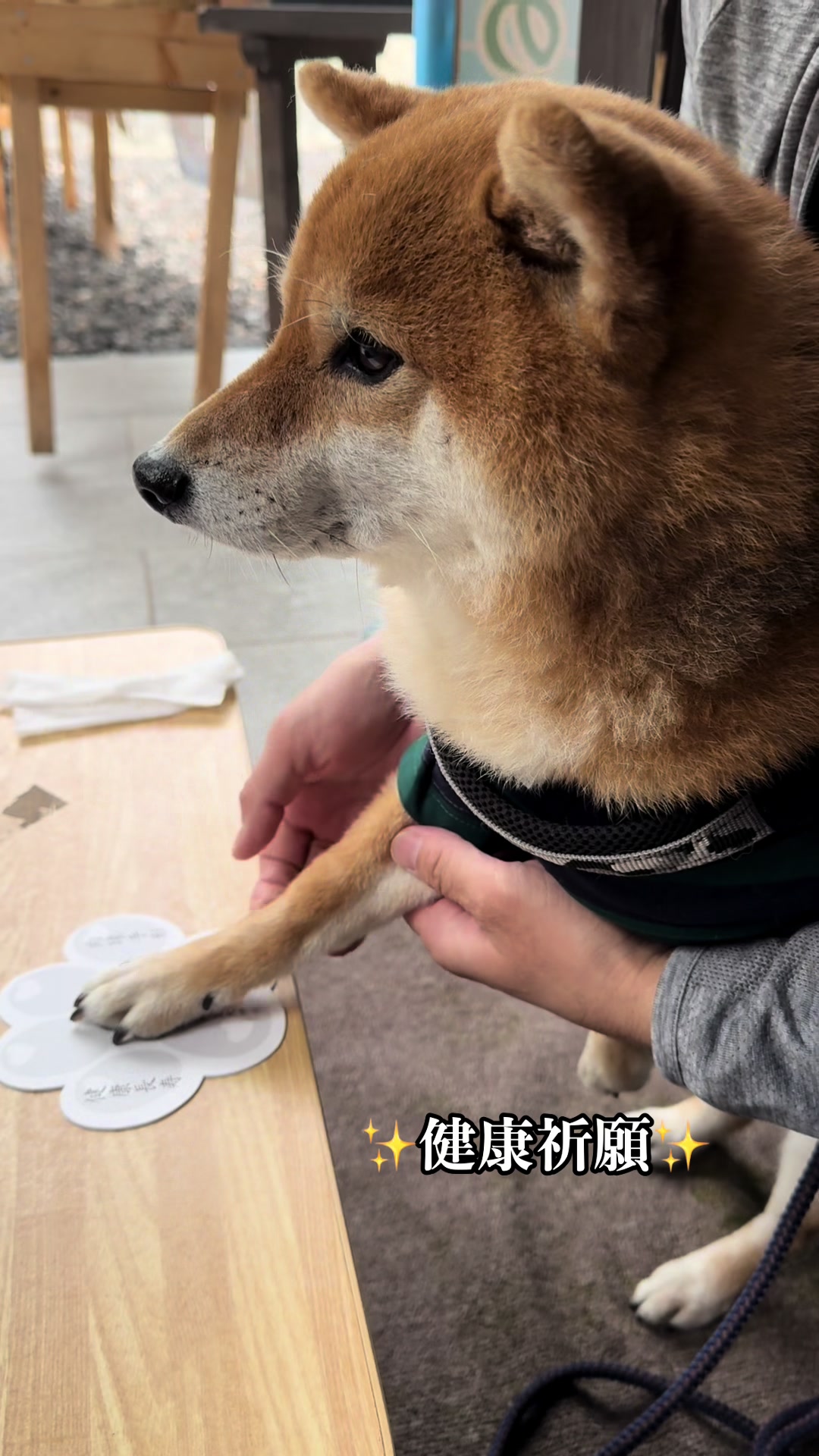@豆助