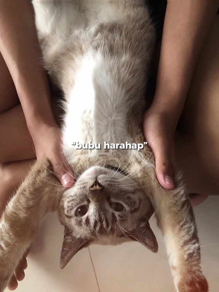 @tersaksi
