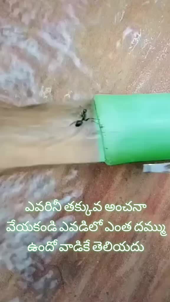 @Venky4586
