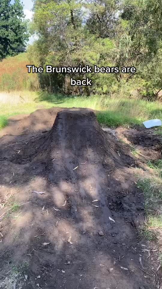 @Brunswick Bears