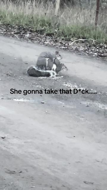 @Jackie