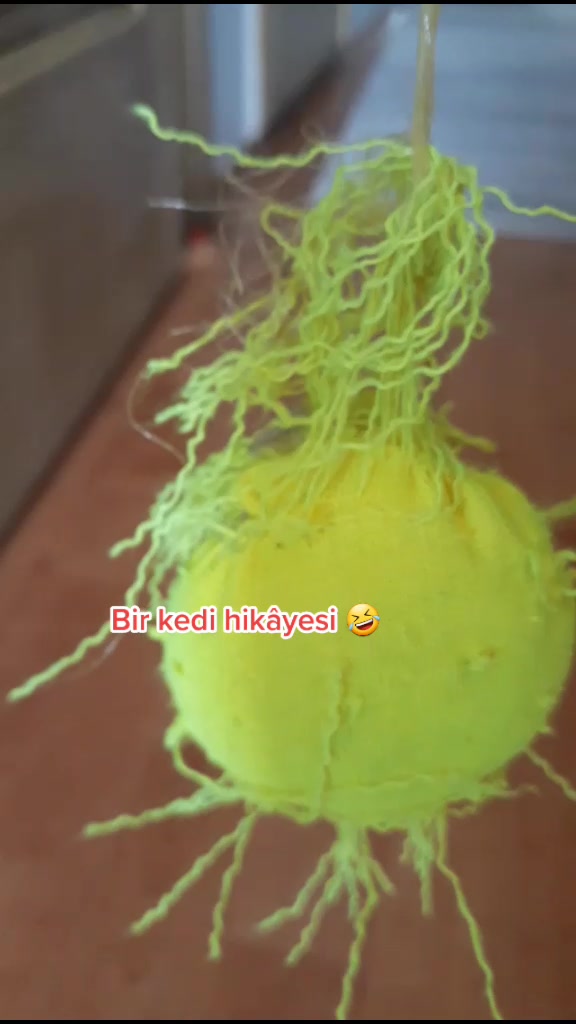 @korayçNk