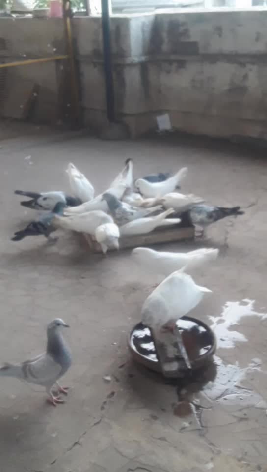 @manya_bhandari_