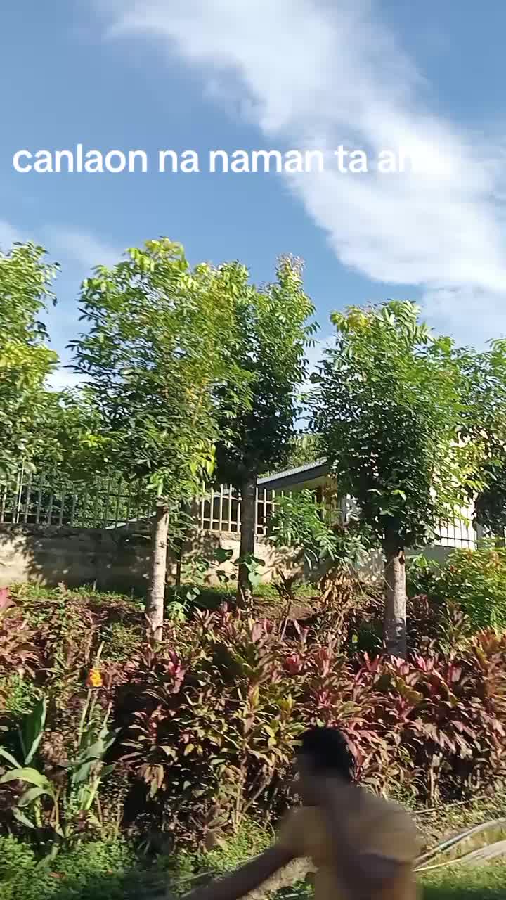 @giebacong